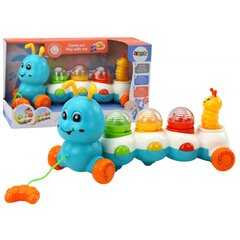 Traukiamas kūdikių žaislas Lean Toys Caterpillar kaina ir informacija | Žaislai kūdikiams | pigu.lt