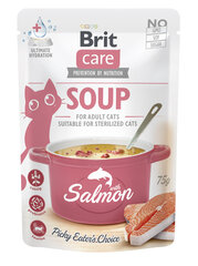 Brit Care Cat Soup Salmon sriuba su lašiša katėms 75g цена и информация | Консервы для кошек | pigu.lt