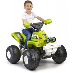 Детский электрический квадроцикл Falcon 6V Feber, зеленый цена и информация | Электромобили для детей | pigu.lt