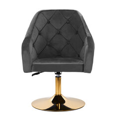 Kėdė 4Rico QS-BL14G, pilka kaina ir informacija | Baldai grožio salonams | pigu.lt