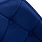Kėdė 4Rico QS-BL14G, mėlyna цена и информация | Baldai grožio salonams | pigu.lt