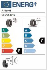 Antares Polymax 4S 205/55R16 91H kaina ir informacija | Universalios padangos | pigu.lt