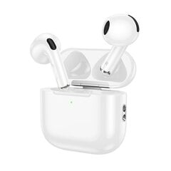 Borofone TWS Bluetooth Earphones BW64 True white цена и информация | Теплая повязка на уши, черная | pigu.lt