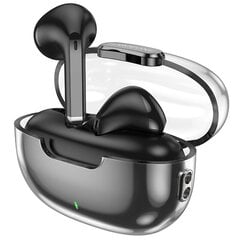 Borofone TWS Bluetooth Earphones BW46 Ice flake black цена и информация | Теплая повязка на уши, черная | pigu.lt