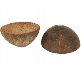 Тарелка-горшок гладкая кокосовая COCONUTS 11см цена и информация | Горшки | pigu.lt