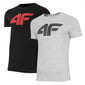 Marškinėliai vyrams 4F, įvairių spalvų kaina ir informacija | Vyriški marškinėliai | pigu.lt
