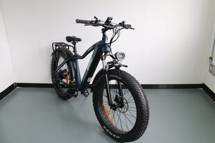 Электрический велосипед Gust Granger 26", синий цена и информация | Электровелосипеды | pigu.lt