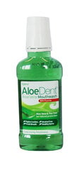 Burnos skalavimo skystis AloeDent, 250 ml цена и информация | Зубные щетки, пасты | pigu.lt