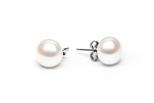 Stella jewelry sidabriniai auskarai moterims su perlais EFB10N-W kaina ir informacija | Auskarai | pigu.lt
