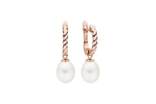 Stella jewelry sidabriniai auskarai moterims su perlais SK22516GEL-W kaina ir informacija | Auskarai | pigu.lt