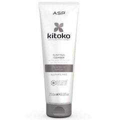 Šampūnas KITOKO Purifying Cleanser, 250ml kaina ir informacija | Šampūnai | pigu.lt