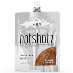 Tonizuojanti plaukų kaukė ASP Hotshotz Ice Chestnut, 200ml цена и информация | Краска для волос | pigu.lt