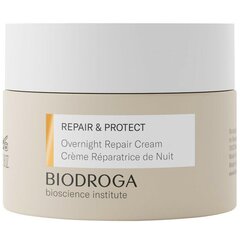 Atkuriamasis naktinis kremas BIODROGA Repair And Protect Overnight Repair, 50ml цена и информация | Кремы для лица | pigu.lt