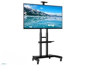 NB AVA 1800 55"-90" (до 90 кг, VESA до 80*50см) цена и информация | Кронштейны и крепления для телевизоров | pigu.lt