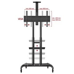 NB AVA 1800 55"-90" (до 90 кг, VESA до 80*50см) цена и информация | Кронштейны и крепления для телевизоров | pigu.lt