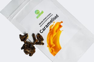 Natucri džiovinti svirpliai karamelizuoti Caramelised, 30g цена и информация | Сладости | pigu.lt