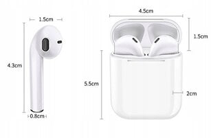 Brainz Ear Buds White kaina ir informacija | Ausinės | pigu.lt