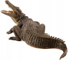 Figūrėlė Papo Nilo krokodilas 50055 kaina ir informacija | Žaislai berniukams | pigu.lt