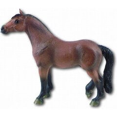 Figūrėlė Hanoverių veislės laukinis žirgas Bullyland, 62655 kaina ir informacija | Žaislai berniukams | pigu.lt