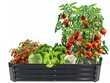 Pakelta daržo lysvė GardenLine, 240x120 cm kaina ir informacija | Šiltnamiai | pigu.lt