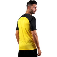 Marškinėliai vyrams Givova Capo Interlock, geltoni цена и информация | Футболка мужская | pigu.lt