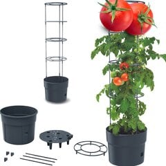 Vazonas Tomato Grower, 29,5x29,5x115 cm kaina ir informacija | Vazonai | pigu.lt