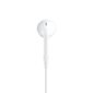 Apple EarPods 1020598 white цена и информация | Ausinės | pigu.lt