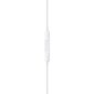 Apple EarPods 1020598 white цена и информация | Ausinės | pigu.lt