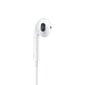 Apple EarPods 1020598 white цена и информация | Ausinės | pigu.lt