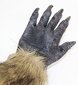 Karnavalinės pirštinės Thematys Evil Wolf Claw цена и информация | Karnavaliniai kostiumai | pigu.lt