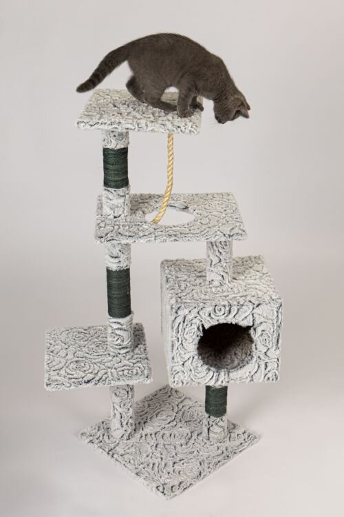 Kačių draskyklė su nameliu Petsi, 108 cm, pilka цена и информация | Draskyklės | pigu.lt