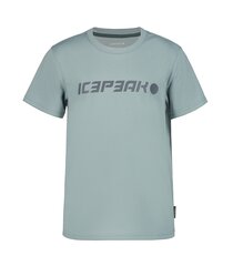 Icepeak marškinėliai berniukams 51724-5*515, pilki kaina ir informacija | Marškinėliai berniukams | pigu.lt