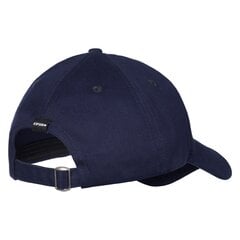 Kepurė su snapeliu vyrams Icepeak kaina ir informacija | Vyriški šalikai, kepurės, pirštinės | pigu.lt