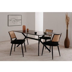 Стол Aatrium Onex, 90x180x75 см, черный цена и информация | Кухонные и обеденные столы | pigu.lt