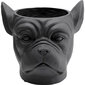 Kare Design vaza Bulldog Black, 37.5 cm kaina ir informacija | Vazos | pigu.lt