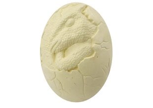 Archeologinis rinkinys Lean Toys Dinozauro kiaušinis kaina ir informacija | Žaislai berniukams | pigu.lt