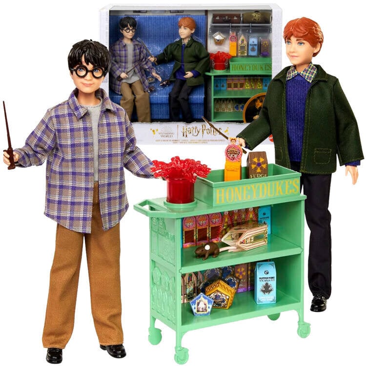 Lėlių rinkinys Mattel Harry Potter Ronas ir Haris Hogvartso eksprese kaina ir informacija | Žaislai mergaitėms | pigu.lt