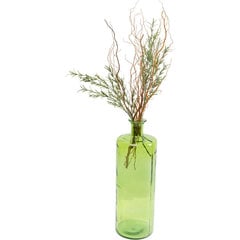 Vaza Tutti Green 75 cm kaina ir informacija | Vazos | pigu.lt