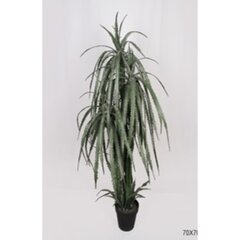 Dirbtinė dracena kaina ir informacija | Dirbtinės gėlės | pigu.lt