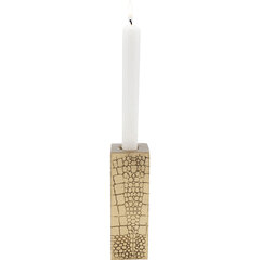 Žvakidė Serpente 15cm kaina ir informacija | Žvakės, Žvakidės | pigu.lt