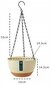 Vazonas Ecarla, 24,5x25 cm kaina ir informacija | Vazonai | pigu.lt