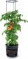 Vazonų Tomato Grower rinkinys, 2 vnt., 29,5x115 cm цена и информация | Vazonėliai daiginimui ir persodinimui | pigu.lt
