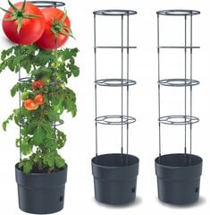 Vazonų Tomato Grower rinkinys, 2 vnt., 29,5x115 cm kaina ir informacija | Vazonėliai daiginimui ir persodinimui | pigu.lt