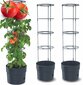 Vazonų Tomato Grower rinkinys, 2 vnt., 29,5x115 cm цена и информация | Vazonėliai daiginimui ir persodinimui | pigu.lt