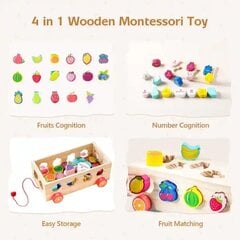 Žaislinė traukiama mašinytė - rūšiuoklis su vaisiais ir skaičiais 4in1 цена и информация | Игрушки для малышей | pigu.lt