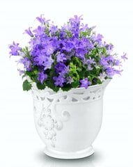 Gėlių vazono laikiklis Polnix, 12,5x11 cm kaina ir informacija | Gėlių stovai, vazonų laikikliai | pigu.lt