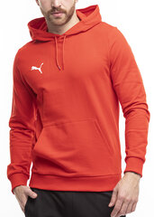 Džemperis vyrams Puma Team Goal Casuals Hoody 658618 01, raudonas kaina ir informacija | Džemperiai vyrams | pigu.lt