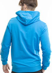 Džemperis vyrams Puma Team Goal Casuals Hoody 658618 02, mėlynas kaina ir informacija | Džemperiai vyrams | pigu.lt