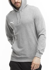 Džemperis vyrams Puma Team Goal Casuals Hoody 658618 33, pilkas цена и информация | Мужские толстовки | pigu.lt