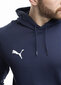 Džemperis vyrams Puma Team Goal Casuals Hoody 658618 06, mėlynas kaina ir informacija | Džemperiai vyrams | pigu.lt